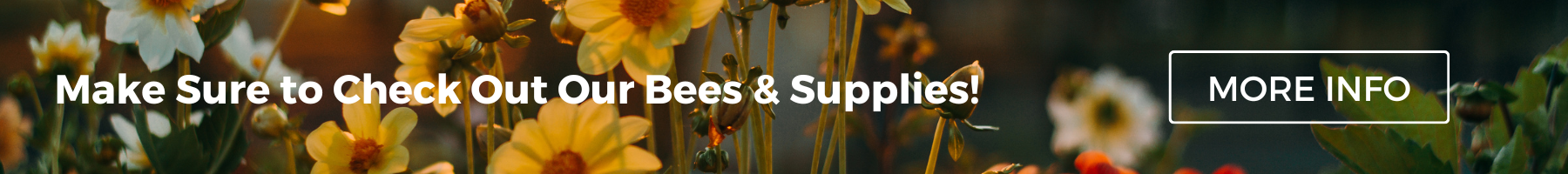 Bee supply banner