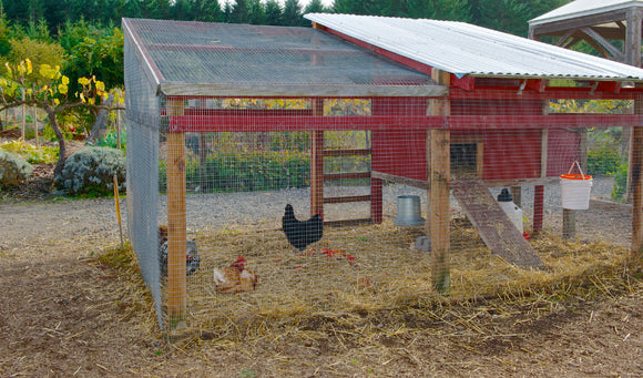 Fall Coop Cleaning Checklist