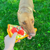 Doggijuana Tuffer Chewer Refillable Supreme Pizza Dog Toy