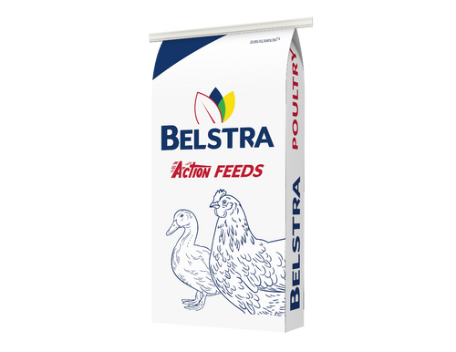 Belstra Chick Starter