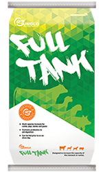 Sunglo® Full Tank™