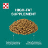 Purina® Amplify® High-Fat Horse Supplement